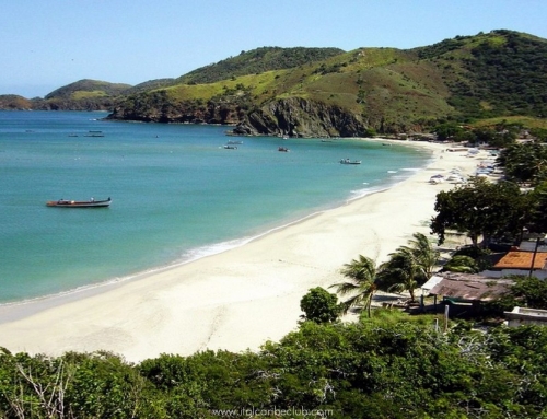 Isla De Coche